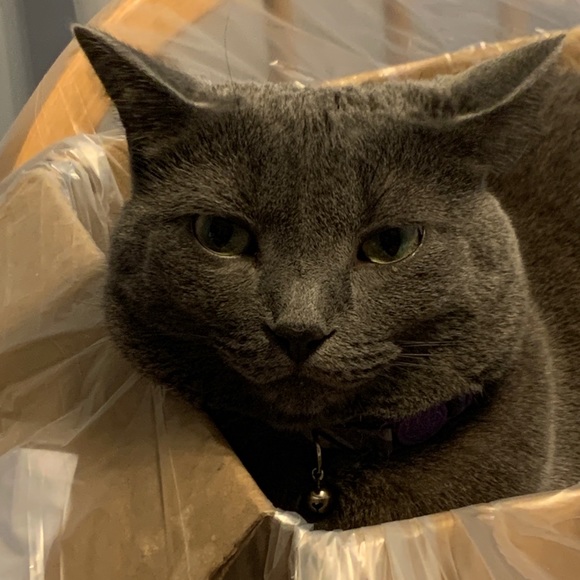 Meet your Posher, Denise - Picture 1 of 1